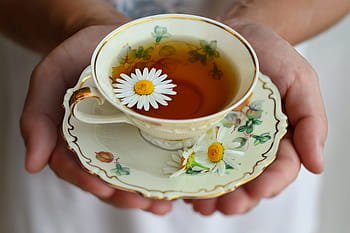 cup, tea, porcelain, drink, decor, break, still life, teatime, herbal tea, chamomile tea, bless you