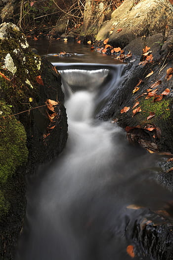 colorful autumn stream., autumn, background, beautiful, fall, foliage, forest, golden, green, leaves, natural