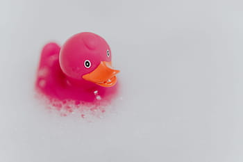 rosa, patito de goma, espuma, pato de goma, pato rosa, pompas de jabón, juguete, juguete de goma, baño