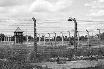auschwitz, birkenau, the holocaust, the war, concentration camps, nazism, story, prison, jews, europe, world war