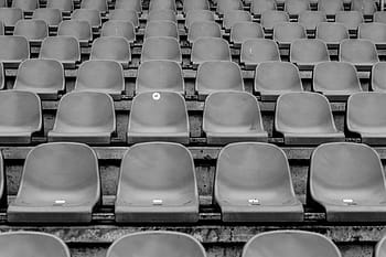zetels, stoelen, stadion, rijen, evenement, zwart en wit