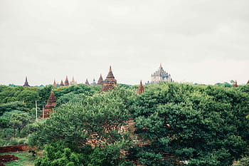 starověké, pagody, bagan, Myanmar, obklopen, stromy, architektura, Asie, asijský, buddhismus, buddhista