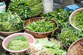 bonanza alle erbe, asiatico, fresco, verde, erba, erbe aromatiche, ingrediente, ingredienti