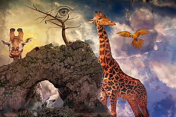 skládání, fantazie, mystický, fotomontáž, pohádka, nadreálný, tajemný, nálada, sen, pohádky, fantastický
