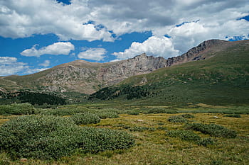 Colorado Front Range, Rocky, Mountain, Pass, ubicado, suroeste, claro, creek county, lucio, nacional, bosque