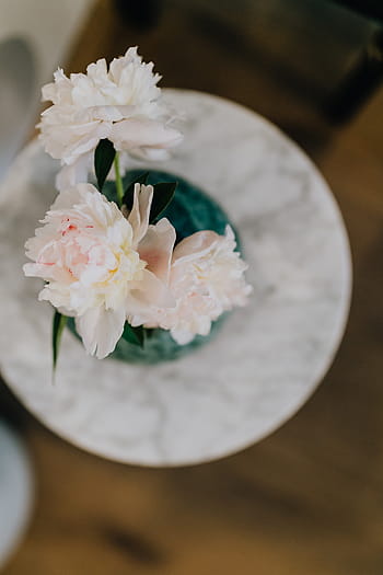 bunga peony, vas, bunga, indah, mekar, berbunga, merah muda, musim semi, karangan bunga, peony