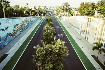 ocean park, road, street, grass, trees, graffiti, murals, sidewalk, concrete, houses, suburbs