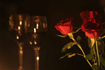 cina romantica, trandafiri, aleasă a inimii, romantism, vin, sticlă, romantic, masa de seara, dragoste, elegant, floral