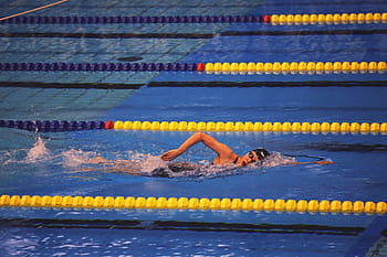 plavání závod, sportovní různé, soutěž, plavání