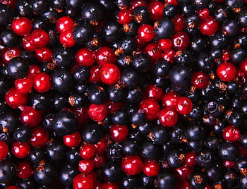 Pozadí, bobule, Černá, ostružina, černý rybíz, borůvka, oříznutí, rybíz, jídlo, čerstvý, ovoce