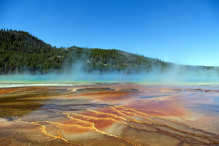 páry nad velkou prismatickou pružinou, jaro, hranolový, barva, yellowstone, národní, park, wyoming, spektrum, tepelný, krajina