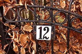 brána, tepané železo, žehlička, číslo, dvanáct, 12, scrollwork, dekorativní, listy, zvadlý, hnědé listy