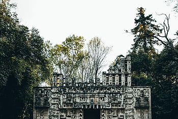 ancient, temple, forest, surrounded, trees, architecture, heritage, historic, history, monastery, monument