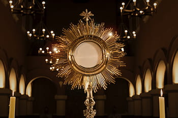monstrance, jesus in the blessed sacrament, religion, religious, jesus christ, evangelism, faith, god, illustration, catolicos, altar