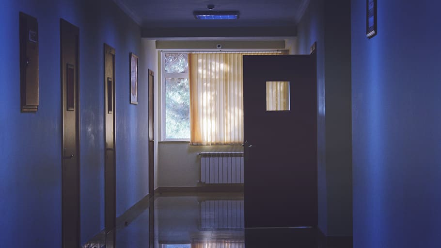 porta, finestra, tenda, bicchiere, pavimento, camere, soffitto, telaio, alberi, interno