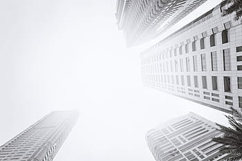bottom view, modern, skyscraper., business district, black, &, white