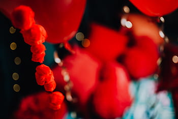 rojo, globos, decoraciones, día de san valentín, resumen, encantador, fondo, amor, romántico, romance, decoración