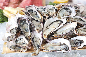 petrified, oyster, delicious, nutrition, protein, health
