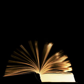 fly, learn, blue, book, literature, graduation, page, move, wisdom, table, read
