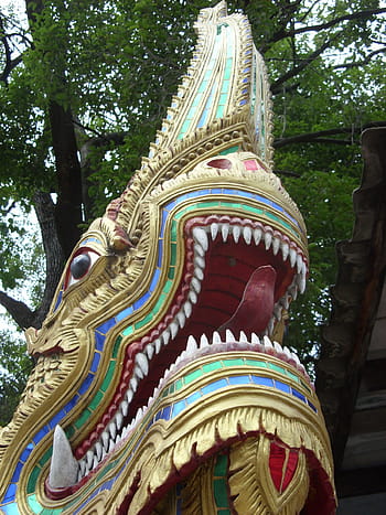 naga szobor fej, Bezárás, naga, buddhista, templom, eszik, buddhizmus, mitológia, védő, thai, Thaiföld