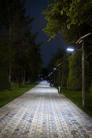 alej, pouliční osvětlení, park, stromy, lucerna, město, osvětlení, chodník