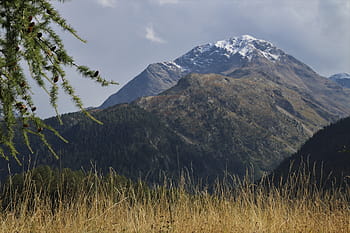 tops, dry grass, mountains, peak, alpine, the silence, figure, the stage, panorama, switzerland, scenery